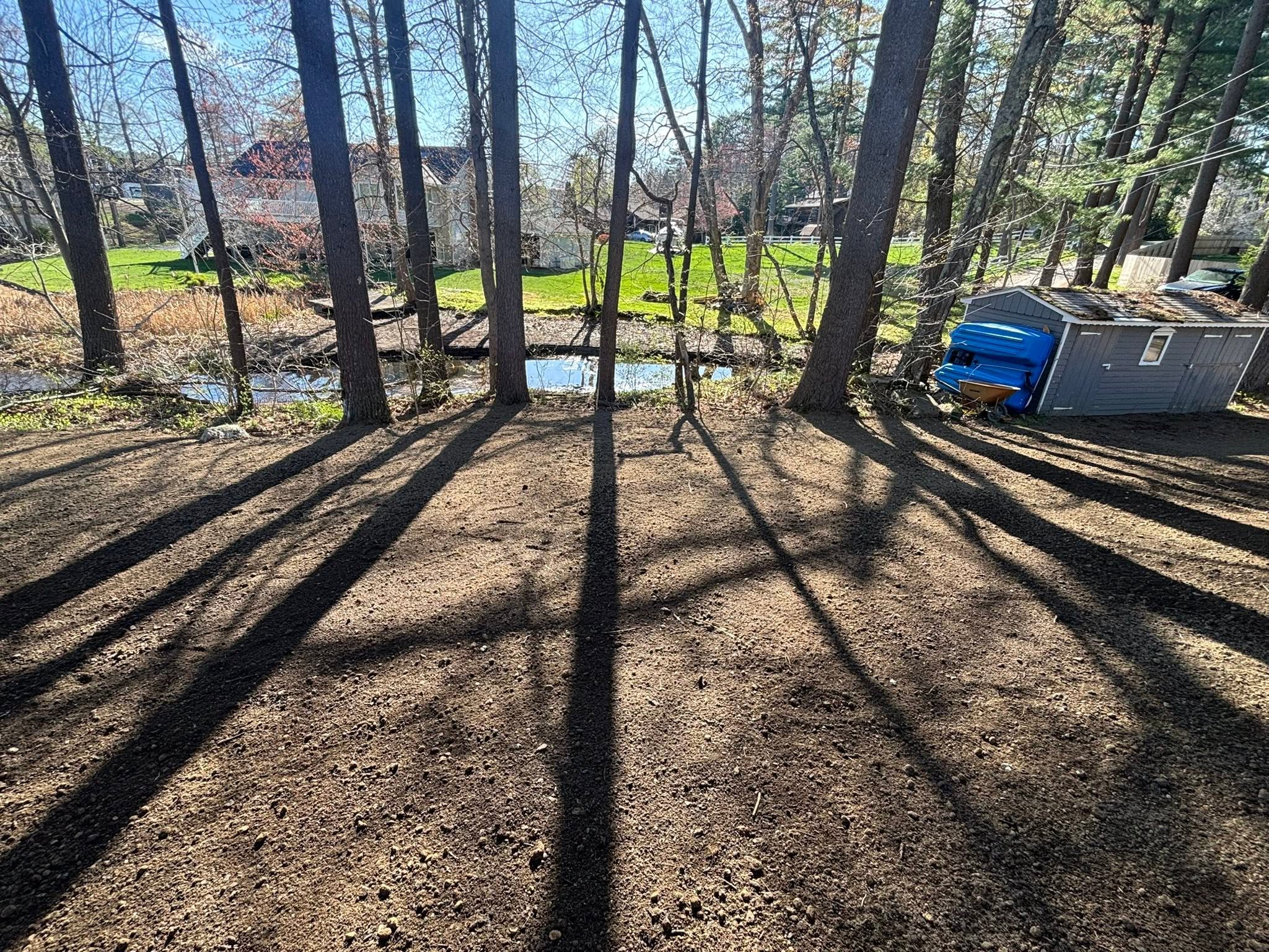 Restored yard — no more concrete or pooling